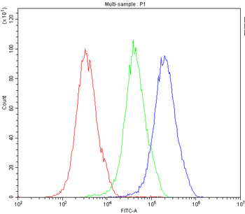 MVP Rabbit Polyclonal Antibody