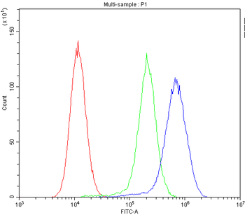 MVP Rabbit Polyclonal Antibody