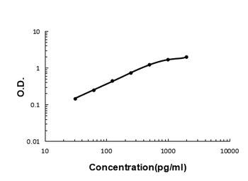 BCMA/TNFRSF17 Rabbit Polyclonal Antibody