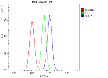 HAUSP/USP7 Rabbit Polyclonal Antibody