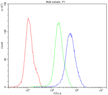 SATB1 Rabbit Polyclonal Antibody