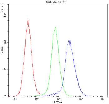 Insulin degrading enzyme/IDE Rabbit Polyclonal Antibody