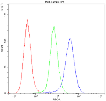 Insulin degrading enzyme/IDE Rabbit Polyclonal Antibody