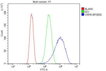 VAPB Rabbit Polyclonal Antibody