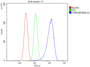 VAPB Rabbit Polyclonal Antibody