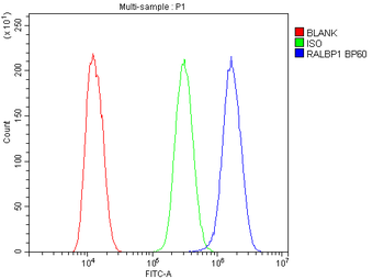 RALBP1 Rabbit Polyclonal Antibody