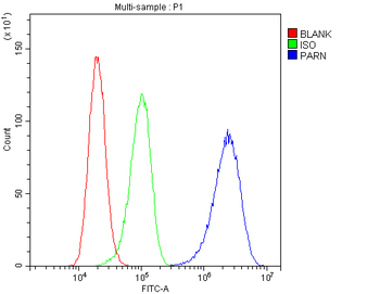 PARN Rabbit Polyclonal Antibody