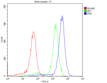 PRX Rabbit Polyclonal Antibody