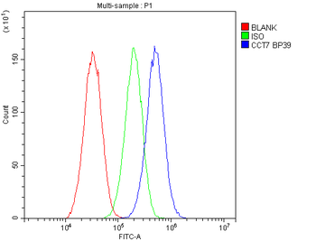 TCP1 eta/CCT7 Rabbit Polyclonal Antibody