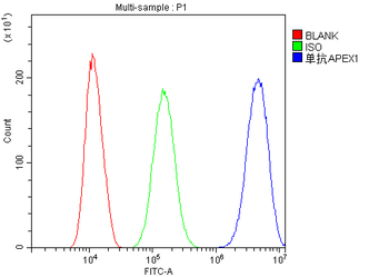 APE1 APEX1 Mouse Monoclonal Antibody