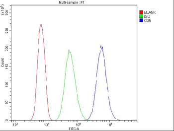 CD5 Rabbit Polyclonal Antibody