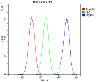 Hsp105/HSPH1 Rabbit Polyclonal Antibody