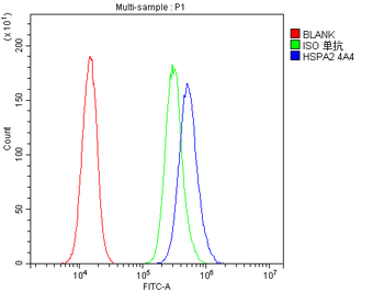 HSPA2 Mouse Monoclonal Antibody