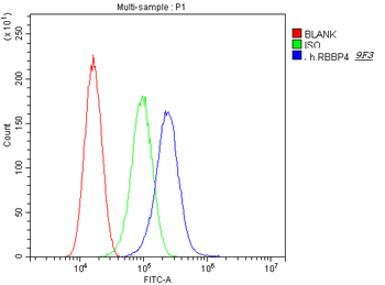 RbAp48 RBBP4 Mouse Monoclonal Antibody