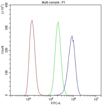 Cytochrome C CYCS Mouse Monoclonal Antibody