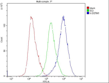 GSTM1 Mouse Monoclonal Antibody