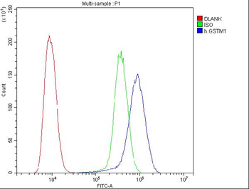 GSTM1 Mouse Monoclonal Antibody
