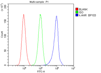 AHR Rabbit Polyclonal Antibody