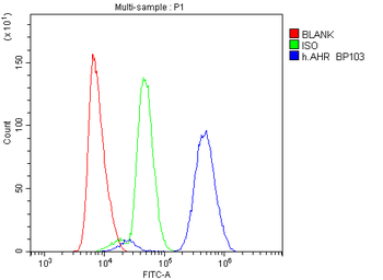 AHR Rabbit Polyclonal Antibody
