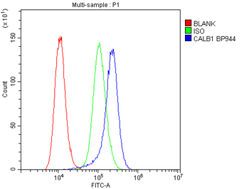 Calbindin/CALB1 Rabbit Polyclonal Antibody