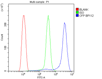 CFP Rabbit Polyclonal Antibody