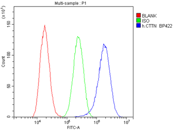 Cortactin/CTTN Rabbit Polyclonal Antibody