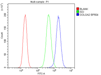 GM130/GOLGA2 Rabbit Polyclonal Antibody