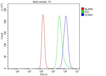Kv1.1 potassium channel/KCNA1 Rabbit Polyclonal Antibody