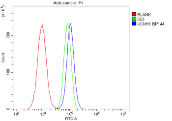 KCNH1 Rabbit Polyclonal Antibody