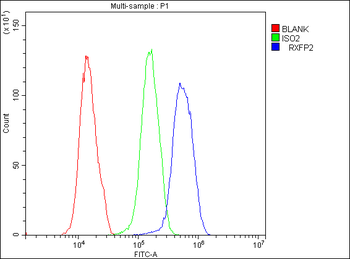 GPCR LGR8/RXFP2 Rabbit Polyclonal Antibody