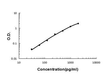 Interferon gamma IFNG Rabbit Polyclonal Antibody
