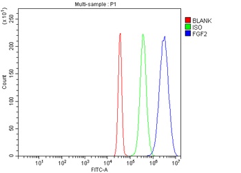 Fibroblast growth factor 2 FGF2 Rabbit Polyclonal Antibody