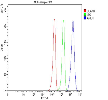 Anillin/ANLN Rabbit Polyclonal Antibody
