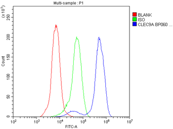 CLEC9A Rabbit Polyclonal Antibody