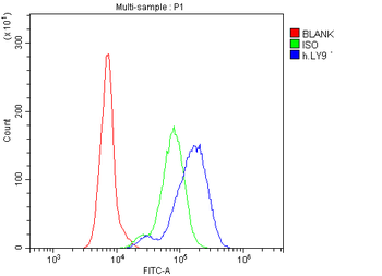 CD229/LY9 Rabbit Polyclonal Antibody