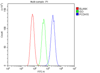 PCDH15 Rabbit Polyclonal Antibody