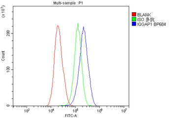 IQGAP1 Rabbit Polyclonal Antibody