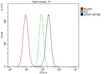 SFRP1 Rabbit Polyclonal Antibody