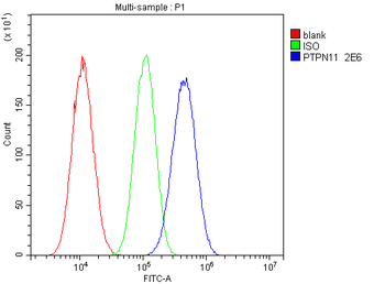 SHP2/PTPN11 Mouse Monoclonal Antibody