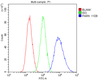 PARN Mouse Monoclonal Antibody