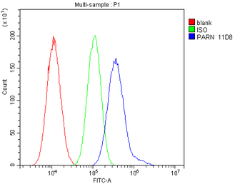 PARN Mouse Monoclonal Antibody