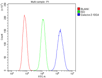 Galectin 3/LGALS3 Mouse Monoclonal Antibody