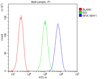 NFIA Mouse Monoclonal Antibody