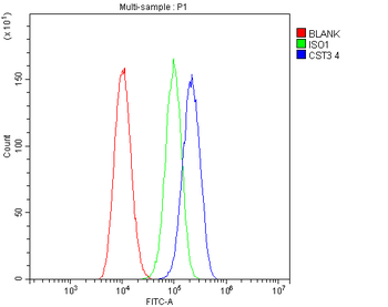 Cystatin C/CST3 Mouse Monoclonal Antibody