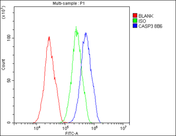 Caspase-3 Mouse Monoclonal Antibody