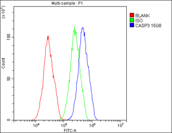Caspase-3 Mouse Monoclonal Antibody