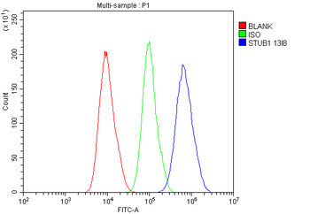 STUB1 Mouse Monoclonal Antibody