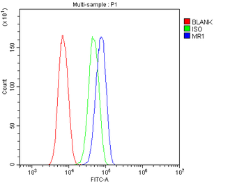 MR1 Rabbit Polyclonal Antibody