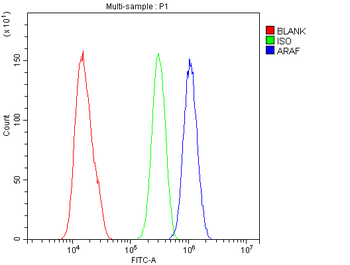 ARAF Rabbit Polyclonal Antibody