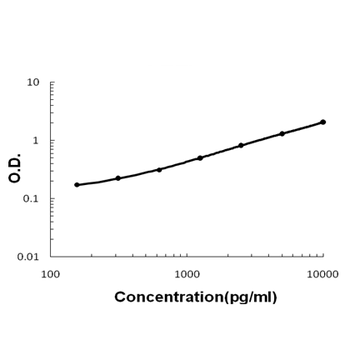 HE4/Wfdc2 Rabbit Polyclonal Antibody